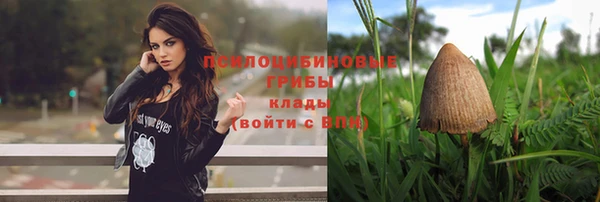 эйфоретик Нея