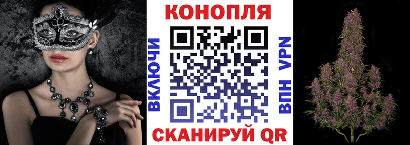 Каннабис Amnesia  Кашин 